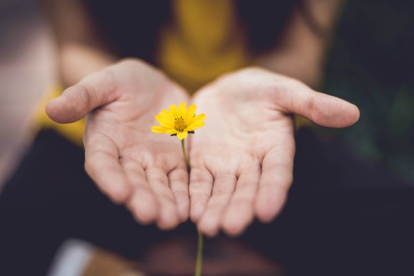 open palms holding yellow flower | How to Define Mindfulness and 3 Ways to Try It