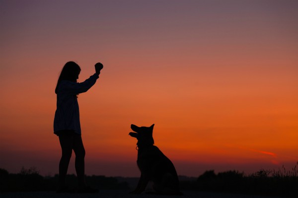 silhouette of woman holding ball with dog against sunset | The Benefits of Pets: 7 Insights from Science