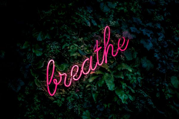 breathe neon sign against foliage | I Used a Guided Meditation App Every Day. Here's What Happened