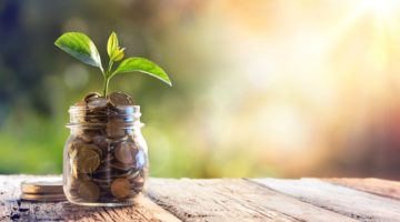 jar of pennies with plant growing | The Research-Backed Guide to Money and Happiness https://positiveroutines.com/money-and-happiness-guide/