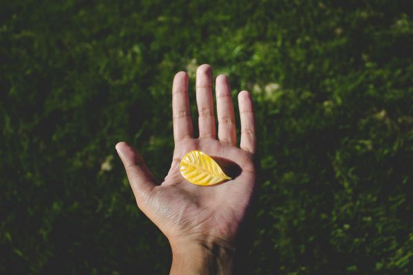 mans hand holding leaf | 11 Good Father's Day Gifts to Make Dad More Productive https://positiveroutines.com/good-fathers-day-gifts-2018/