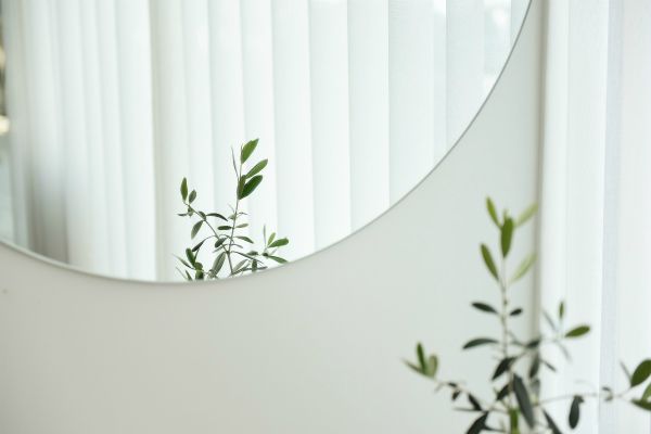 mirror reflecting plant and window with sheer curtain | Increase Productivity at Work in This Simple Way  https://positiveroutines.com/increase-productivity-at-work/ 
