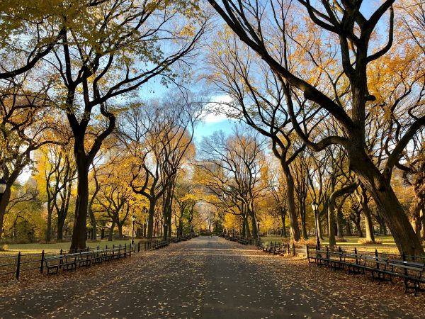 park at fall | In Time for the Holidays: How to Take Breaks Effectively  https://positiveroutines.com/how-to-take-breaks/