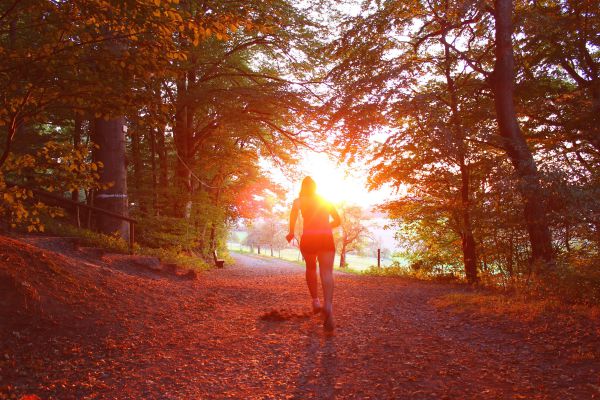 woman running at sunrise in autumn | 5 Morning Routine Ideas to Make You Scarily Successful