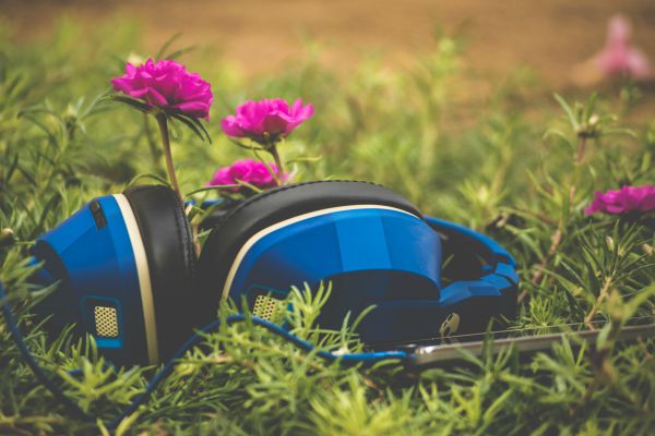 blue headphones sitting in grass near pink flowers | What Are Binaural Beats + Can They Boost Productivity? https://positiveroutines.com/what-are-binaural-beats/ ‎