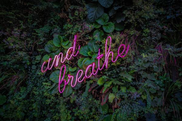and breathe neon sign in greenery | 11 Productive Things to do With Your Free Time https://positiveroutines.com/productive-things-to-do/
