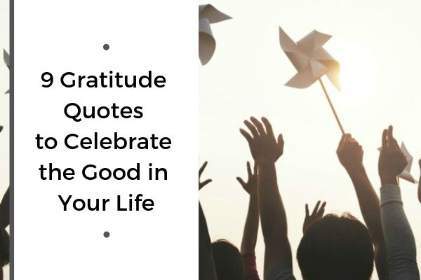 9 Gratitude Quotes to Celebrate the Good in Your Life | 59 Ways to Draw on The Power of Gratitude https://positiveroutines.com/the-power-of-gratitude/