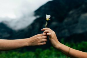 one hand offering single flower to another hand | How to be Selfless This Valentine's Day https://positiveroutines.com/how-to-be-selfless/