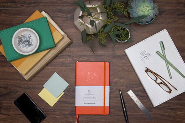 orange panda planner on desk with plants notebooks and supplies | 11 Things You Need to Have a Productive Day https://positiveroutines.com/have-a-productive-day/