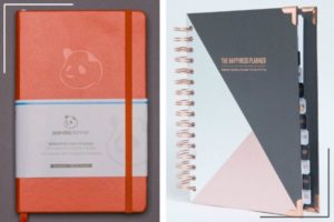 orange panda planner beside gray and pink happiness planner | Productivity on Paper: The Happiness Planner vs. Panda Planner https://positiveroutines.com/the-happiness-planner-panda-planner