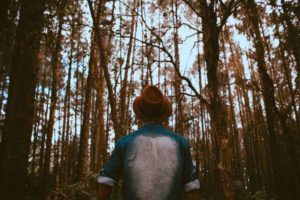 man looking up at trees | Why is Nature Important to Happiness https://positiveroutines.com/why-is-nature-important-happiness/