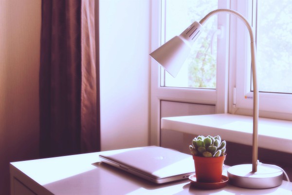 lamp and plant on desk in front of window | 7 Easy Ways to Create a Healthy Work Environment https://positiveroutines.com/work-environment-tips/
