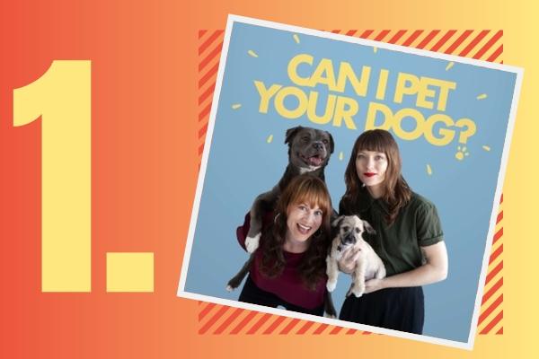 1. Can I Pet Your Dog? | 9 Positive Podcasts For Anyone Who Needs a Mood Boost https://positiveroutines.com/positive-podcasts/